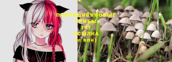 дурь Армянск